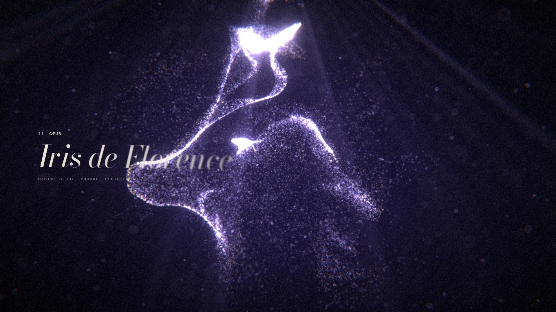 Film Lavis N°3 : particules de lumière violette, note de cœur iris de Florence